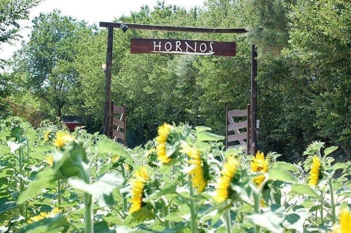 Agriturismo Hornos Numana Extérieur photo